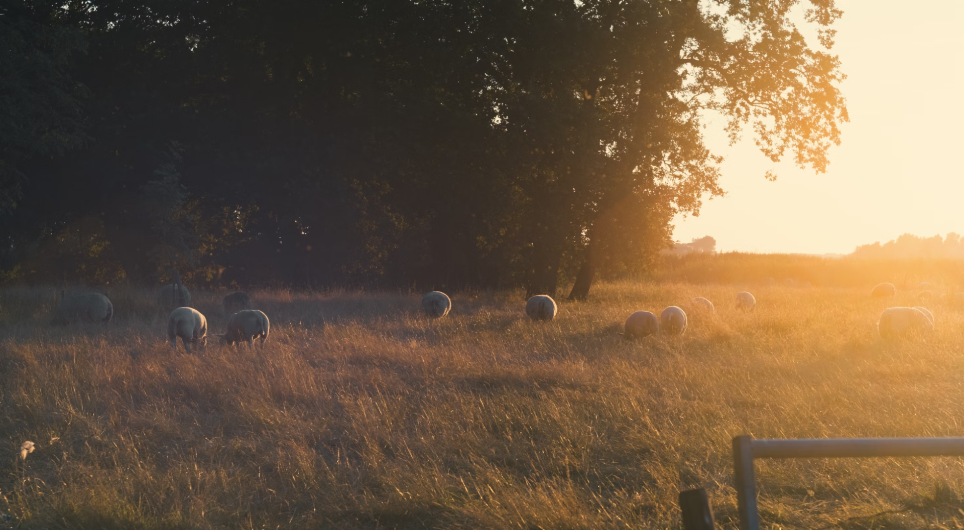 Boer&Buur met Natuur