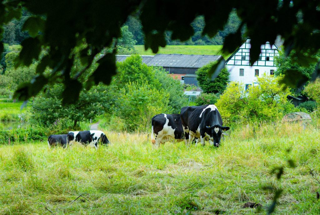 Agrarische afzet via korte ketens in NoordBrabant