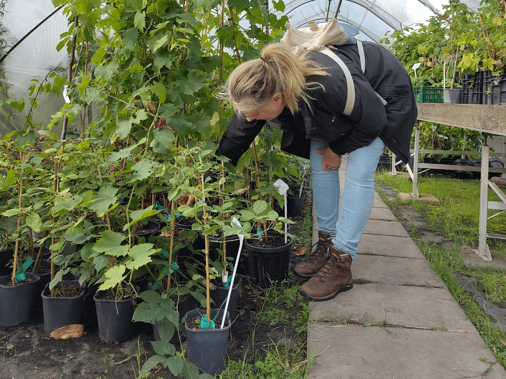Groene Erfdelers lieten buurt proeven van erf