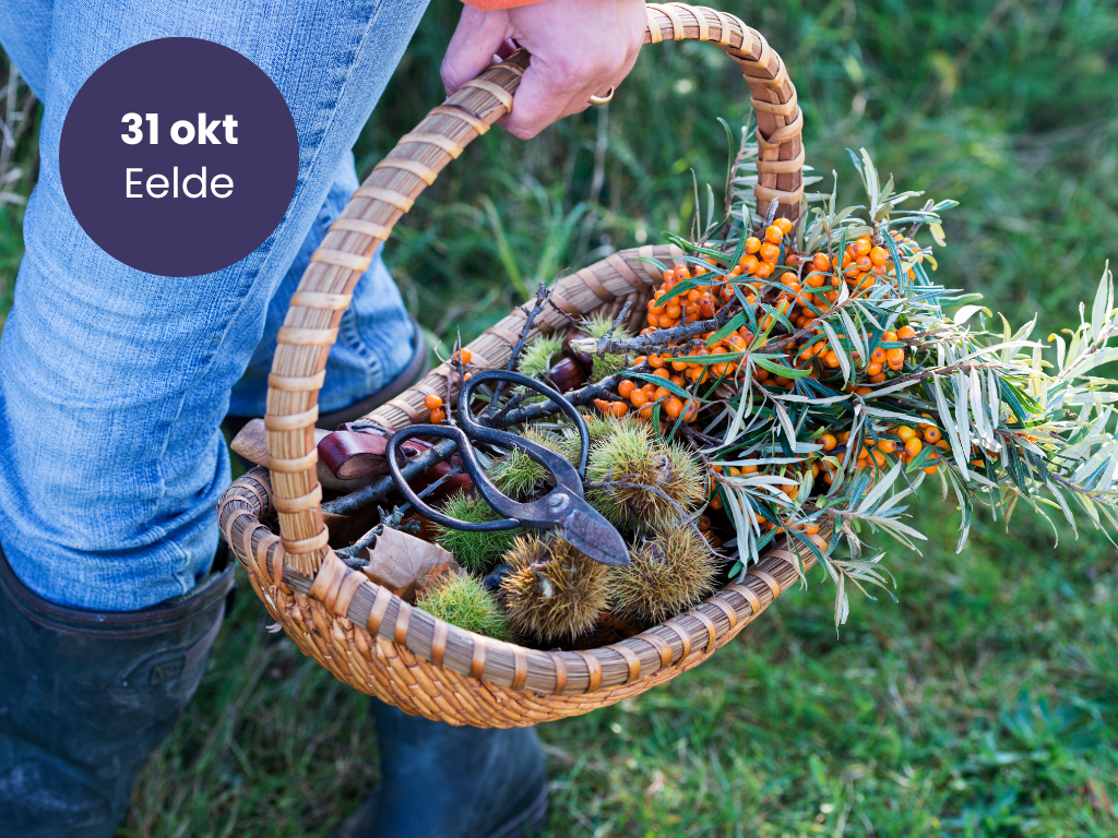 Inspiratiemiddag Buurt- en dorpsvoedselbossen Noord-Nederland