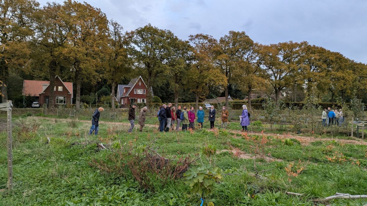 Enthousiasme voor voedselbossen in Noord-Nederland