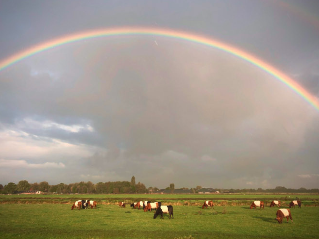 Wat is boerennatuur?