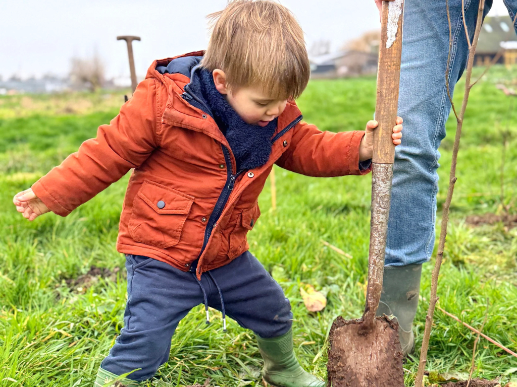 Eerste bomen geplant voor voedselbos