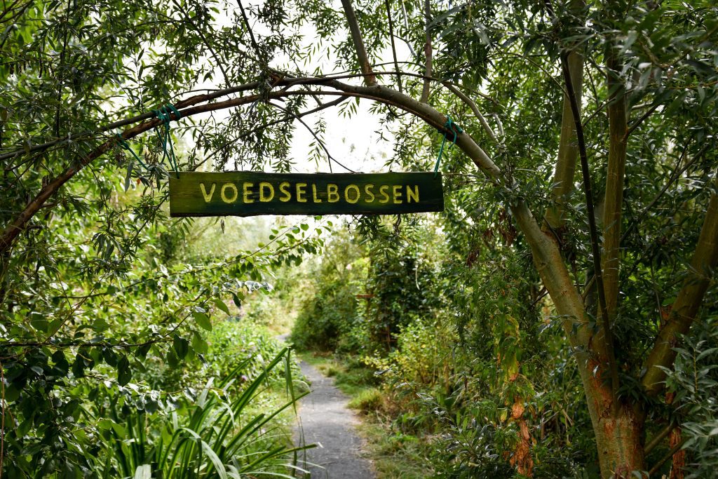 Anna’s Tuin & Ruigte