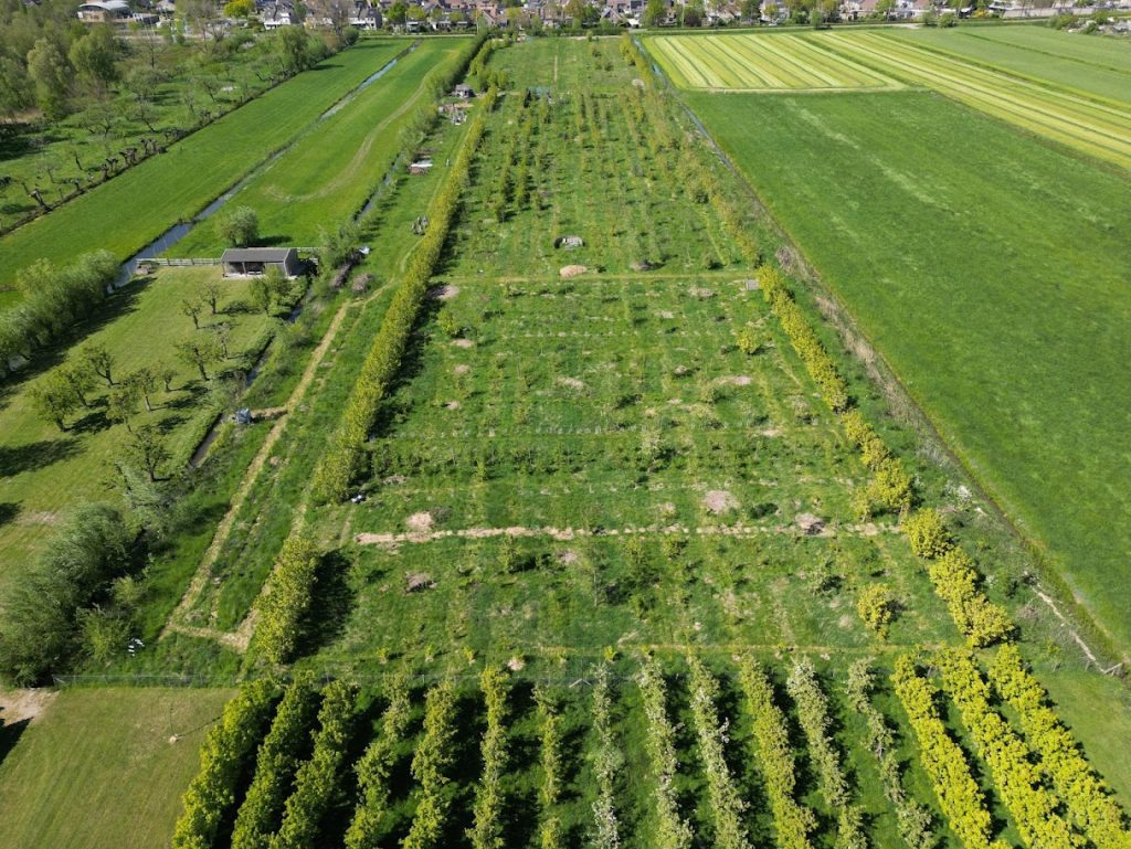 Velics – M.A. Reinaldaweg, Lopik, Utrecht