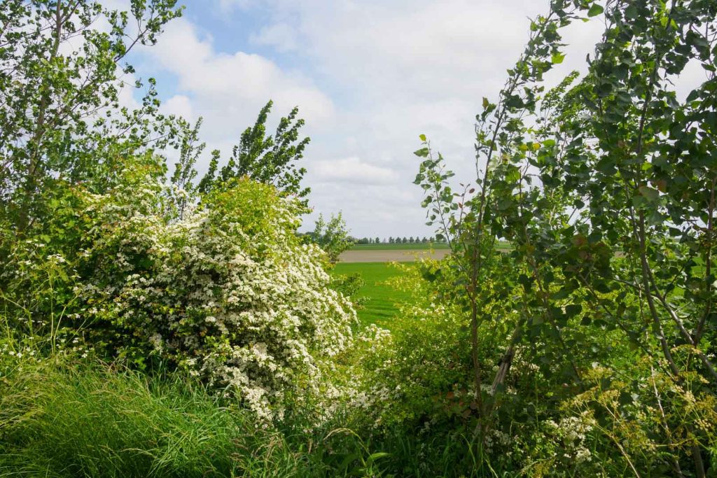 Voedseldijken Noord-Beveland