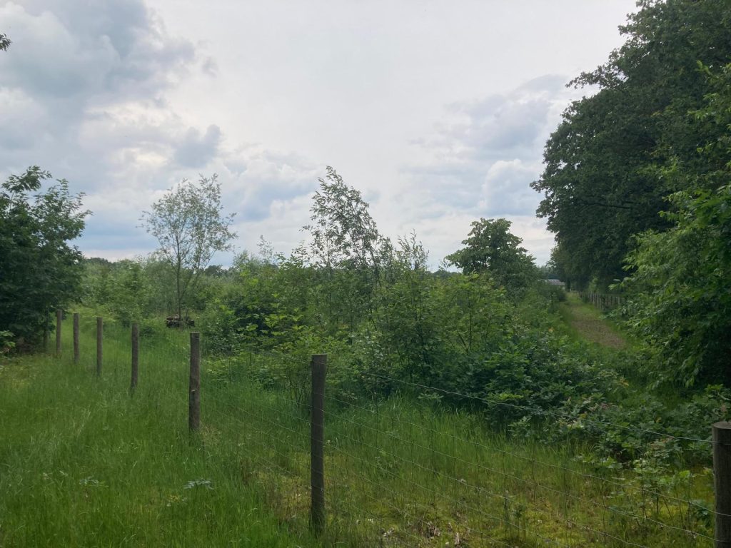 Voedselbos ‘t Hurkske – Meerbosweg, Erp, Noord-Brabant