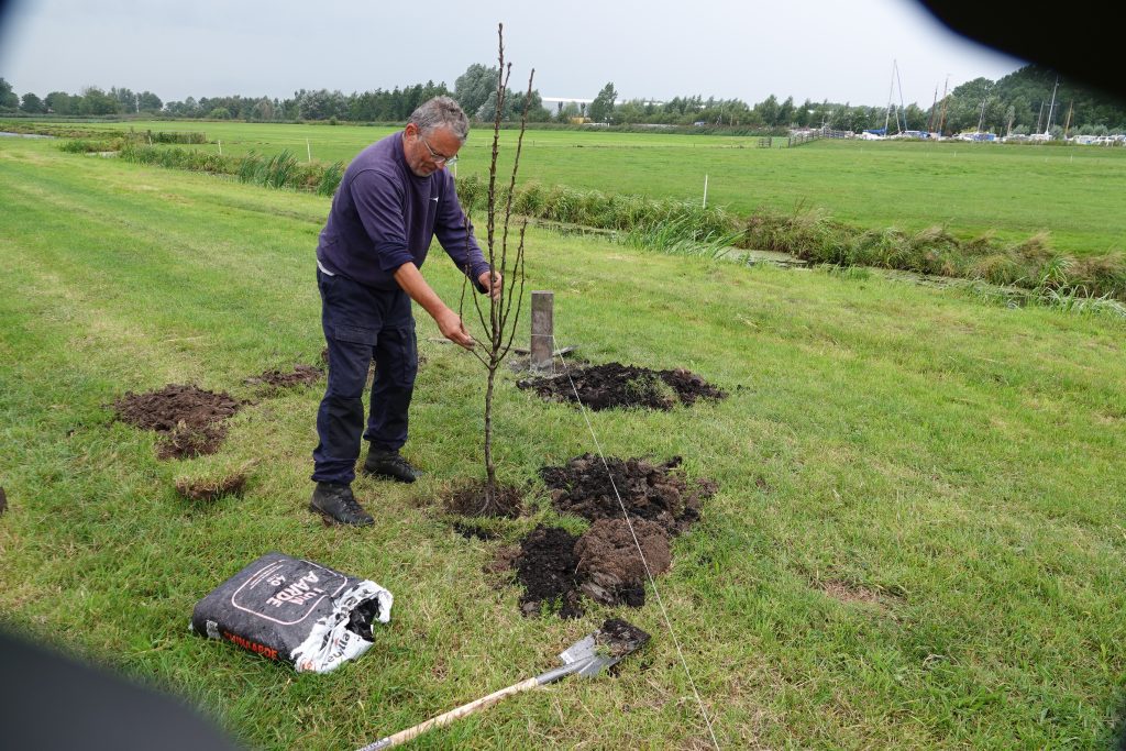 Voedselbos Oppenhuizen