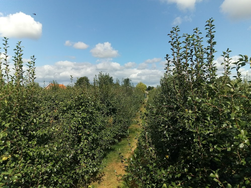 Voedselbos Het Lekkere Bos (Tienhoven aan de Lek)