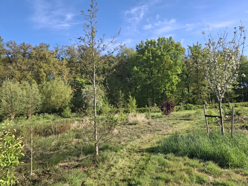 Voedselbos Het Lange Broek (Langbroek)