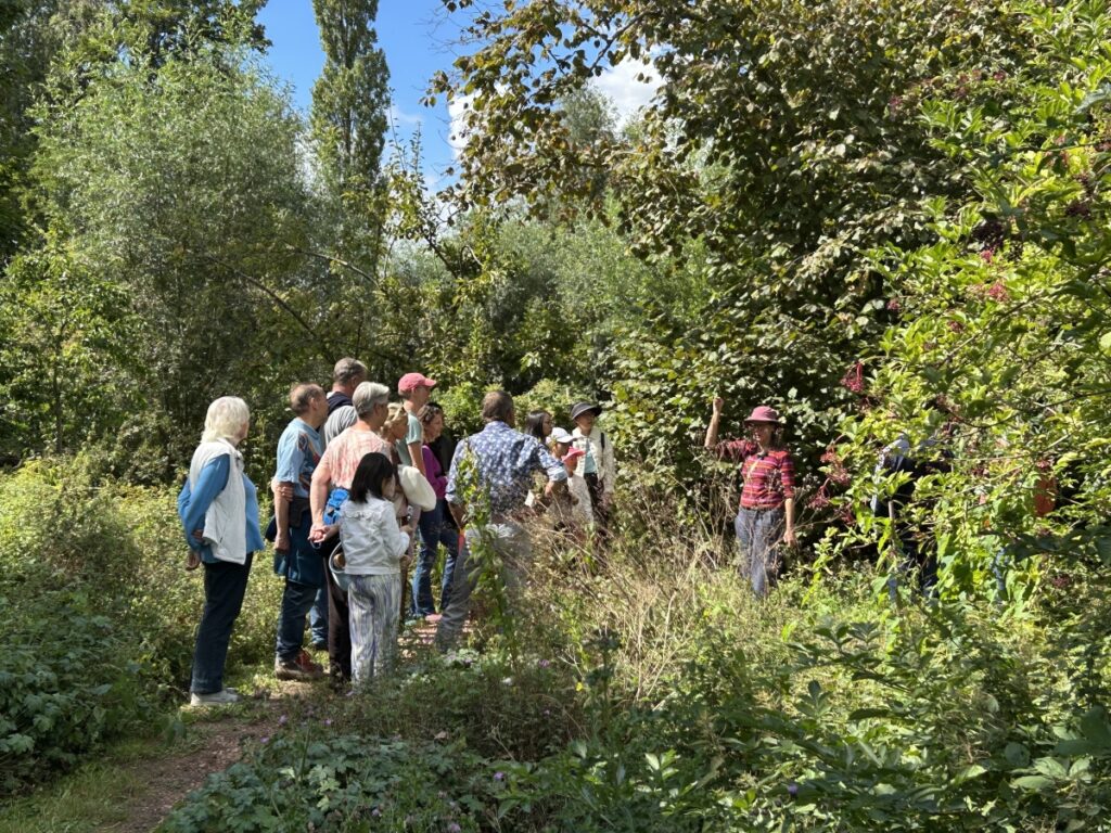 Voedselbos SchaikseWeelde (Leerdam)