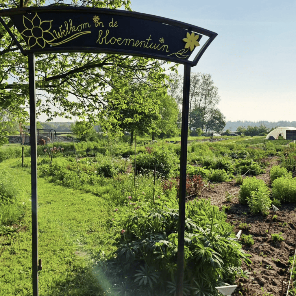Sophia’s Tuin