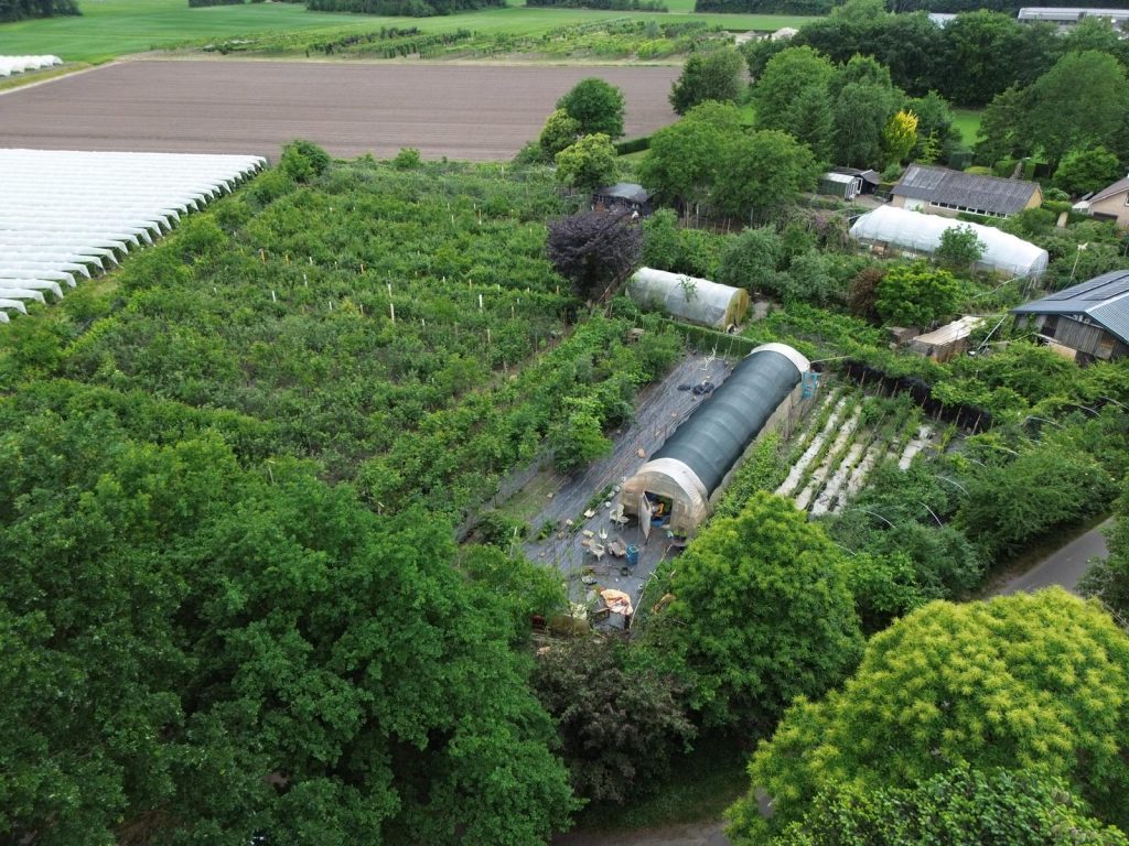 Fruitvoedselbos Klappenberg
