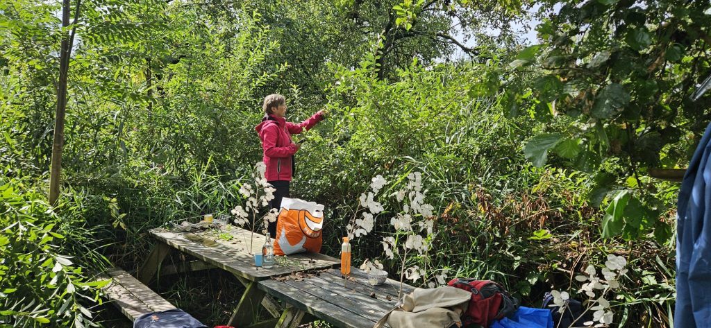 Voedselbos Goudse Hout