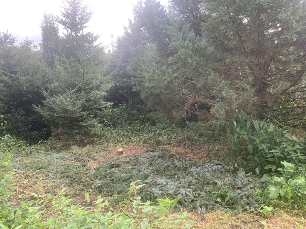 Veld voor Verder