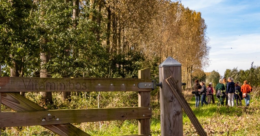Afstudeeronderzoek: voedselbossen spelen belangrijke rol voor biodiversiteit en landschap