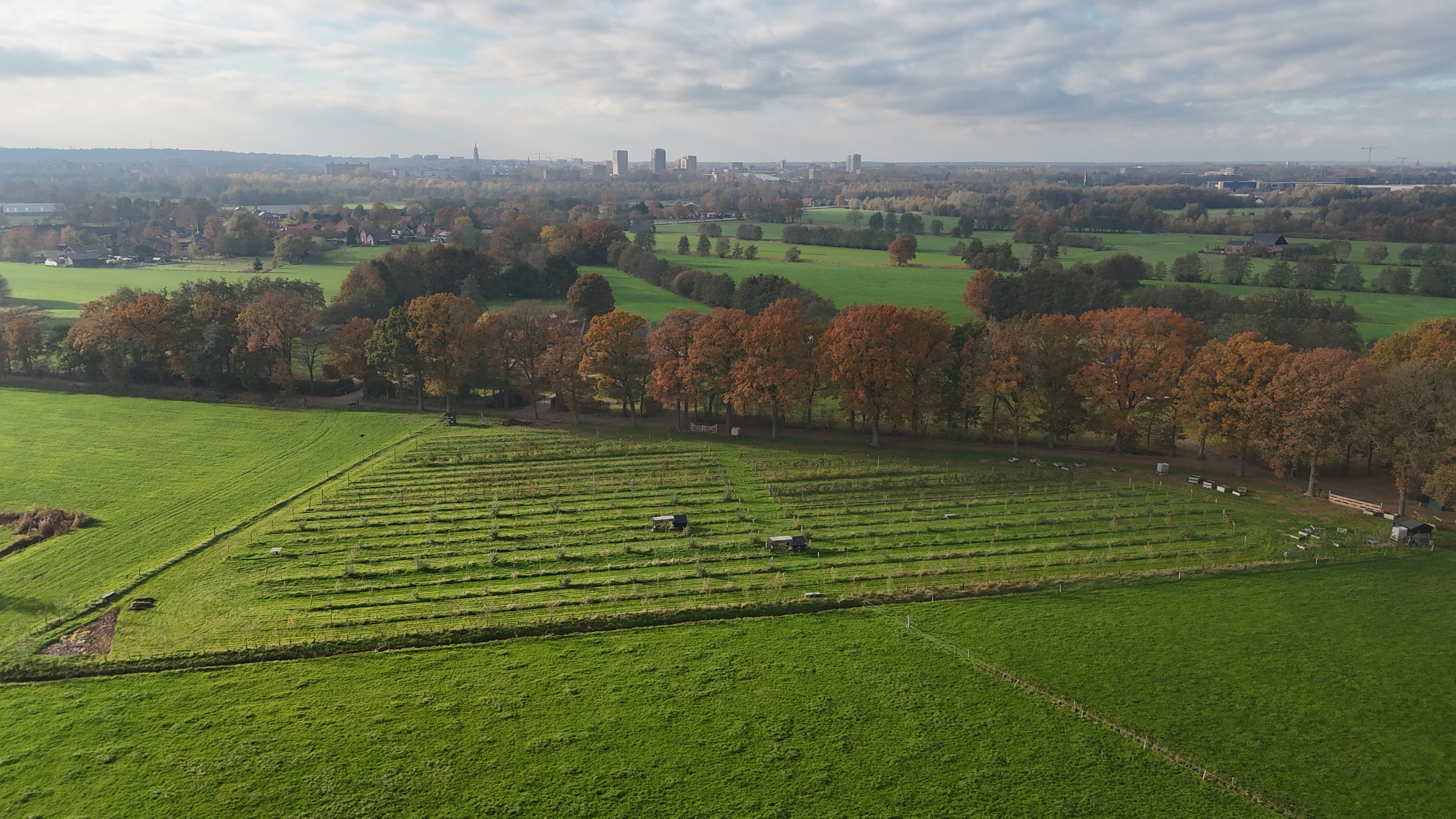 Boerderij de Oude Ruif