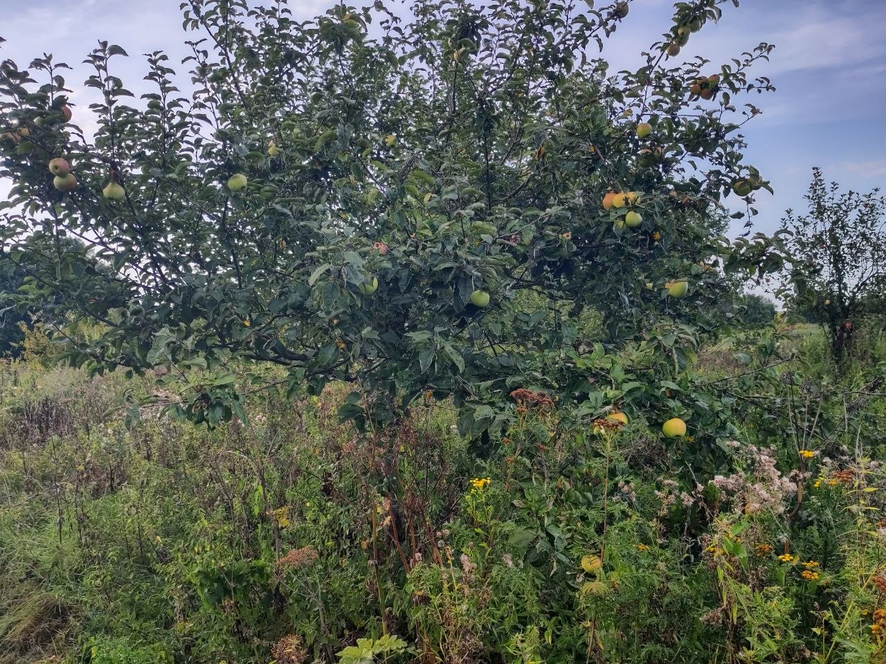 Ecovredegaard